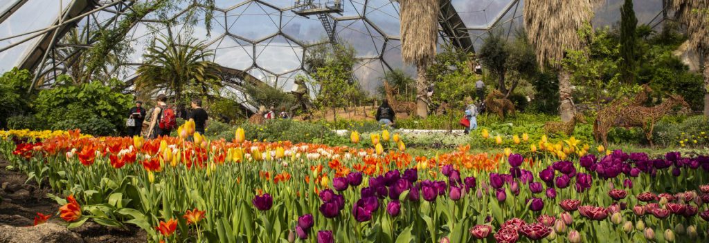 Eden Project