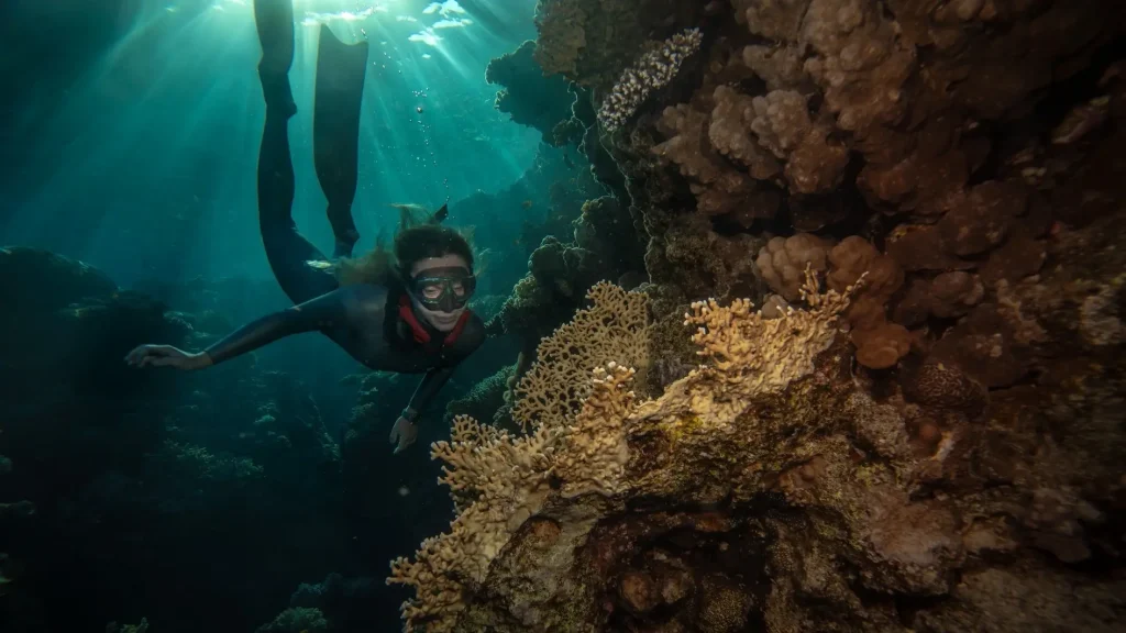 Turkish Free Diver Highlights Coral Reef Protection on World Oceans Day