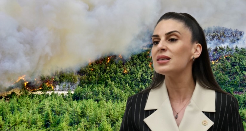 Muğla MP Calls for Stronger Forest Fire Prevention Measures
