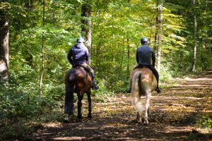 Horse Riding Accident in Turkey: Insurance & Safety Risks