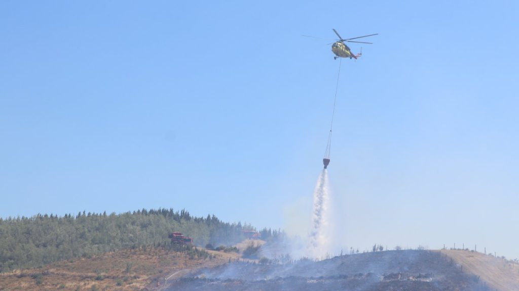 Turkey Warns of Tough Penalties for Causing Forest Fires