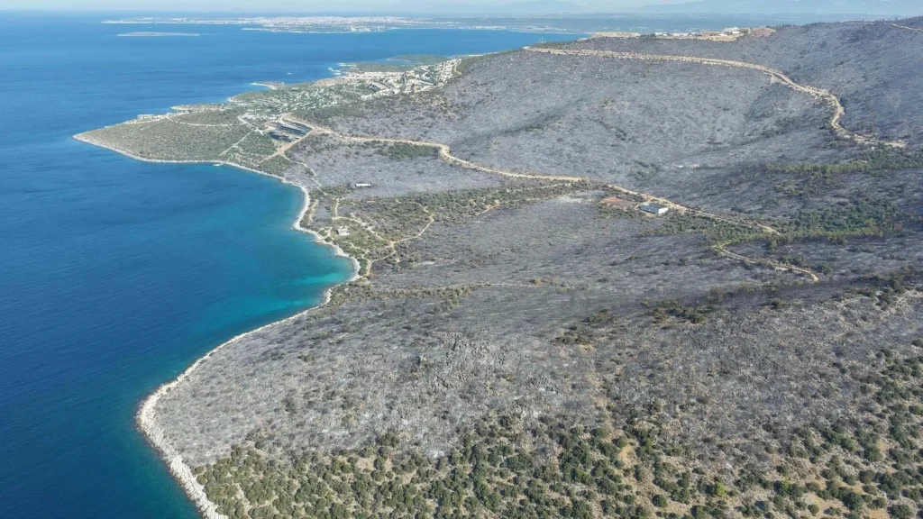 Wildfires brought under control in Muğla and Manisa after overnight battle