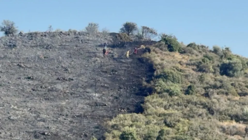 Brush Fire in Bodrum Brought Under Control