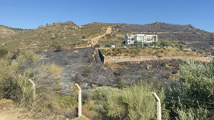 Brush Fire in Bodrum Brought Under Control