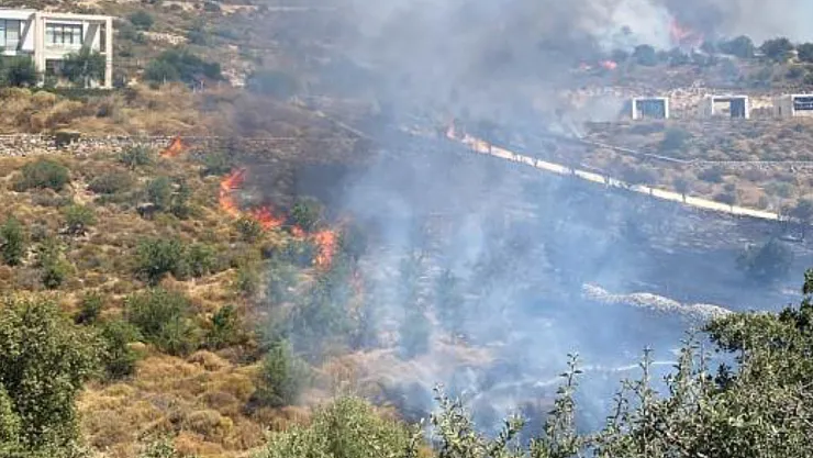 Brush Fire in Bodrum Brought Under Control