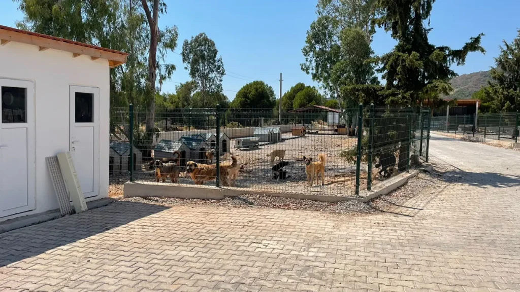 Fethiye Municipality opens modern Animal Care Center for stray animals