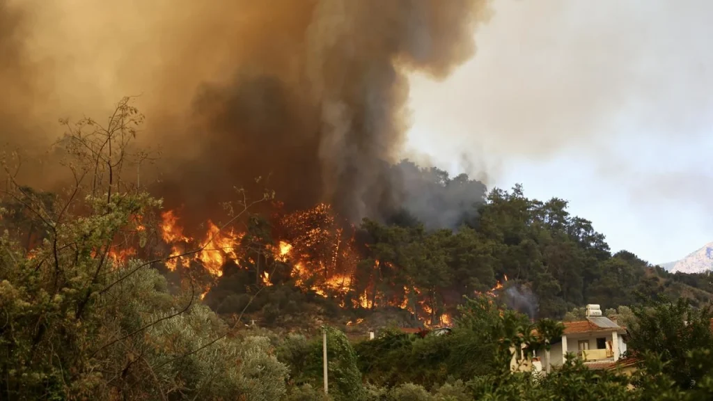 Forest Fires Across Four Turkish Provinces Brought Under Control Following Major Emergency Response