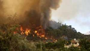 Forest Fires Across Four Turkish Provinces Brought Under Control Following Major Emergency Response