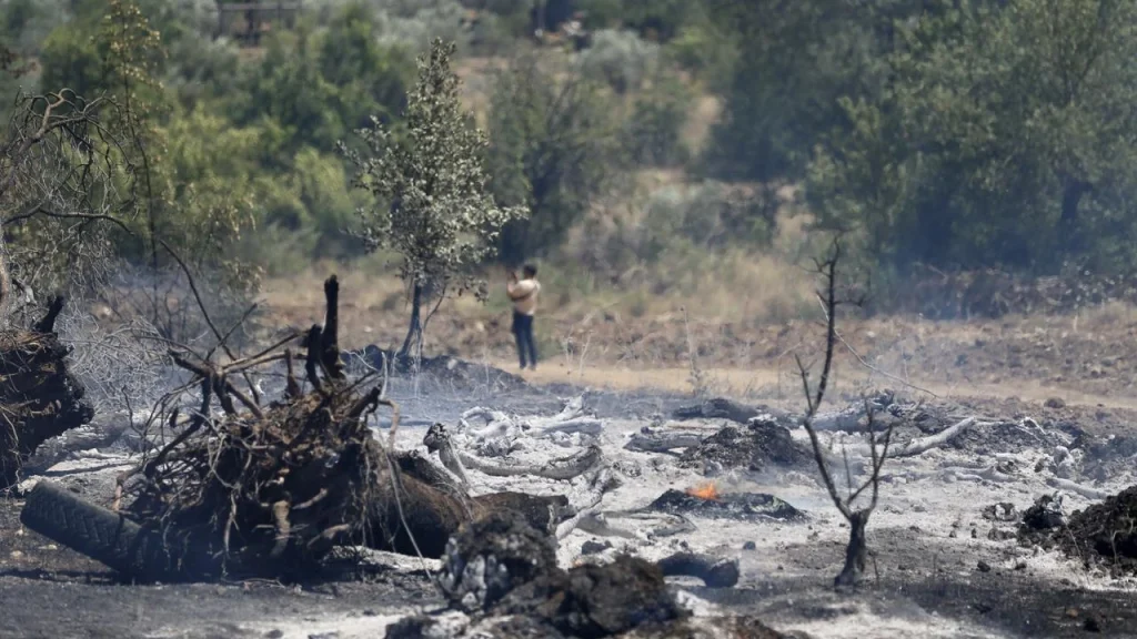 Forest Fires Across Four Turkish Provinces Brought Under Control Following Major Emergency Response