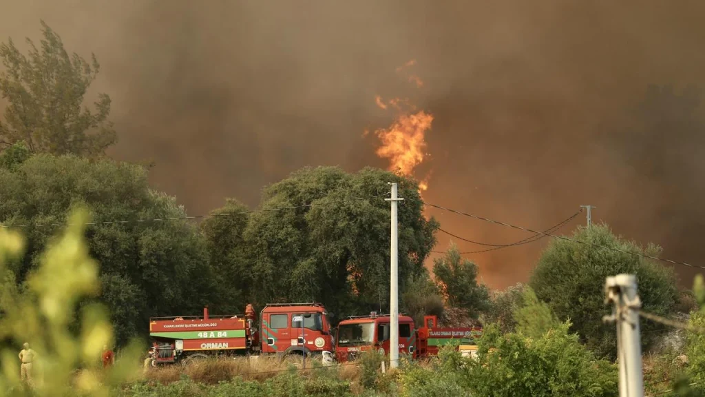 Forest Fires Across Four Turkish Provinces Brought Under Control Following Major Emergency Response