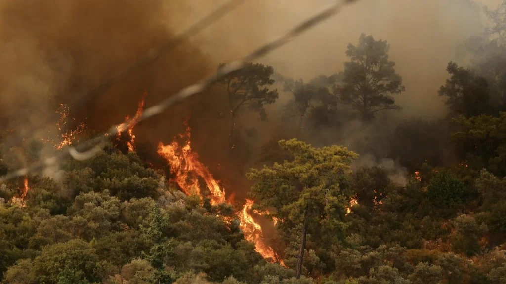 Forest Fires Across Four Turkish Provinces Brought Under Control Following Major Emergency Response