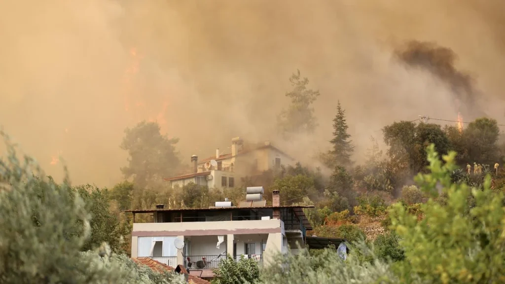 Forest Fires Across Four Turkish Provinces Brought Under Control Following Major Emergency Response