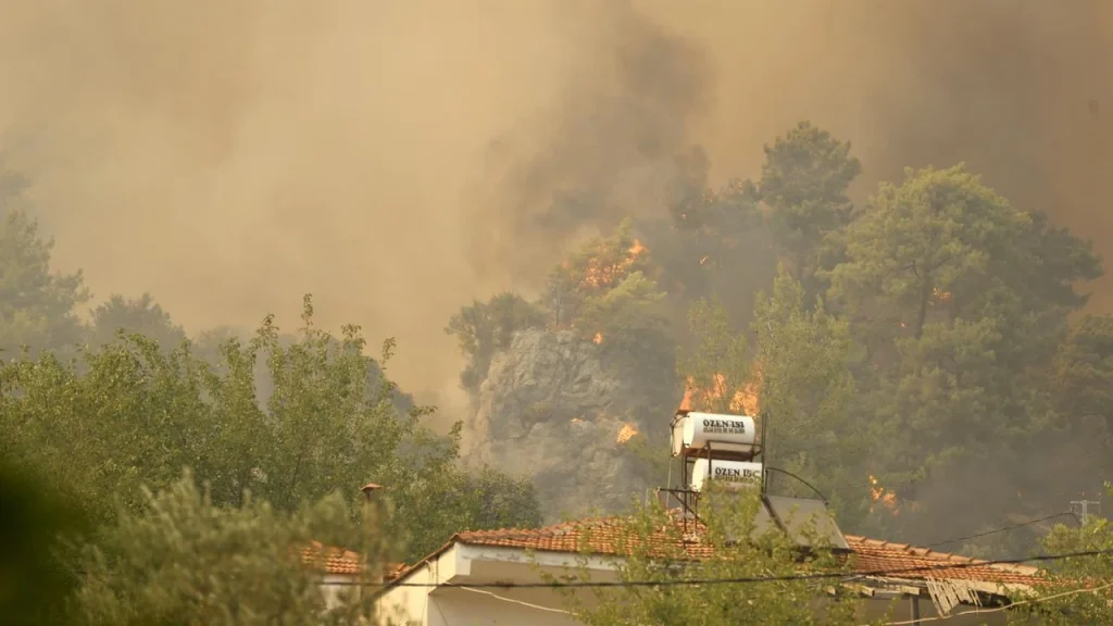 Forest Fires Across Four Turkish Provinces Brought Under Control Following Major Emergency Response
