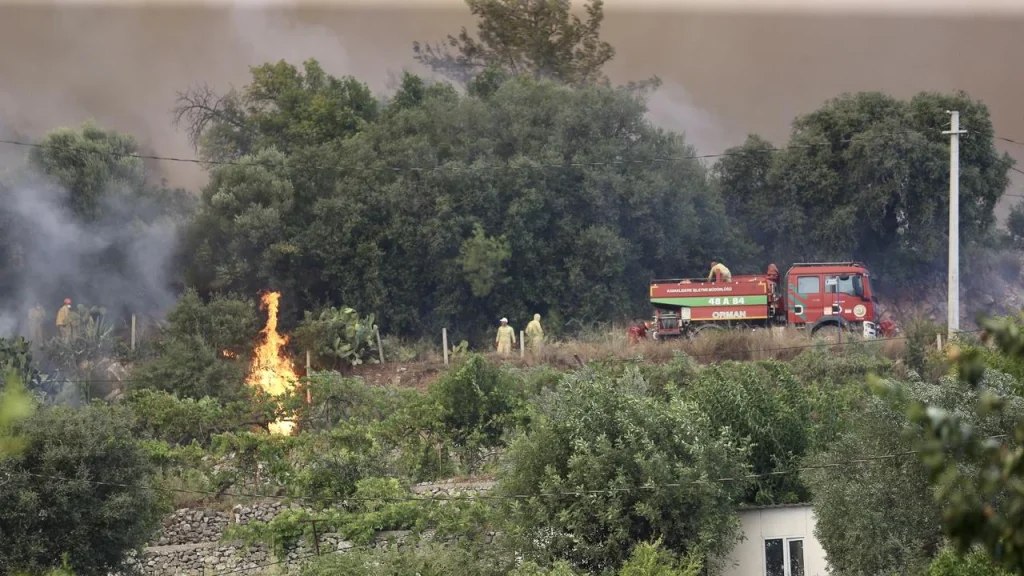 Forest Fires Across Four Turkish Provinces Brought Under Control Following Major Emergency Response