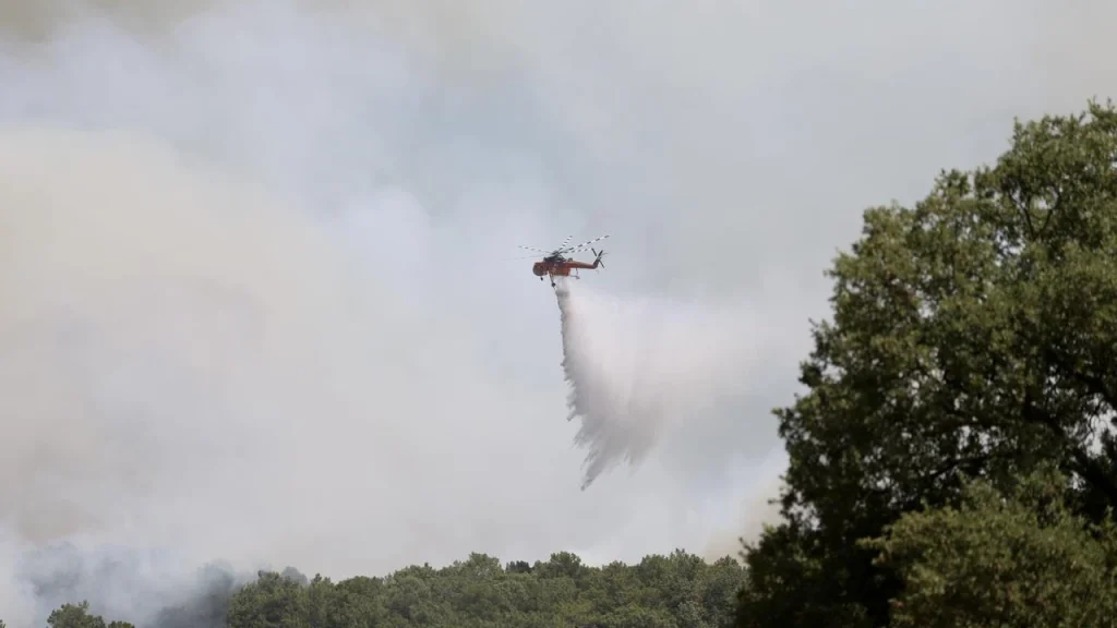 Forest Fires Across Four Turkish Provinces Brought Under Control Following Major Emergency Response