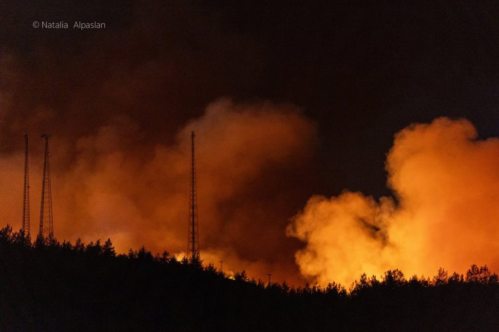 Turkey on High Alert as Extreme Heat and Winds Fuel Growing Wildfire Threat