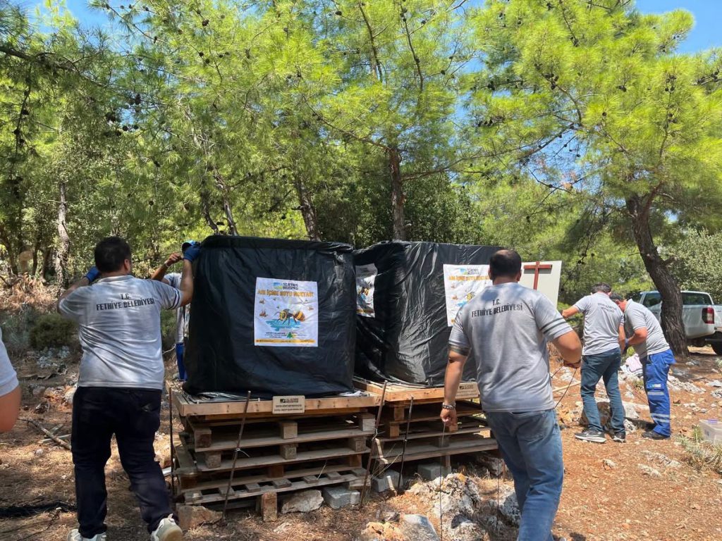 Bee Drinking Water Stations Maintained Ahead of Summer
