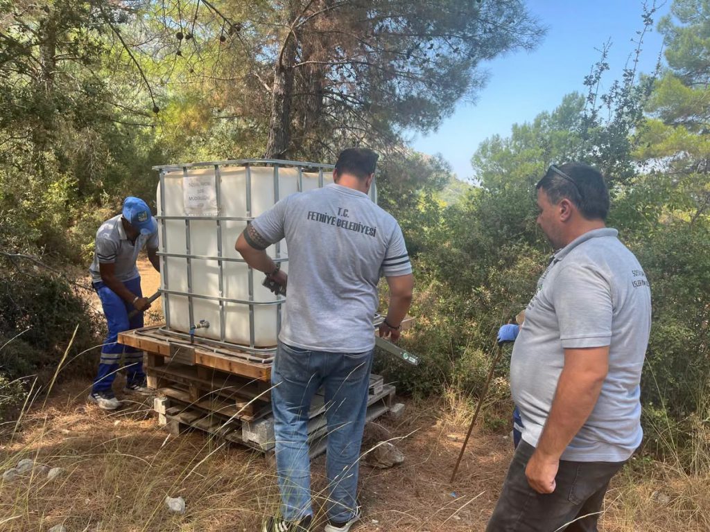 Bee Drinking Water Stations Maintained Ahead of Summer