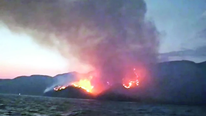 Marmaris Forest Fire Brought Under Control After Overnight Battle