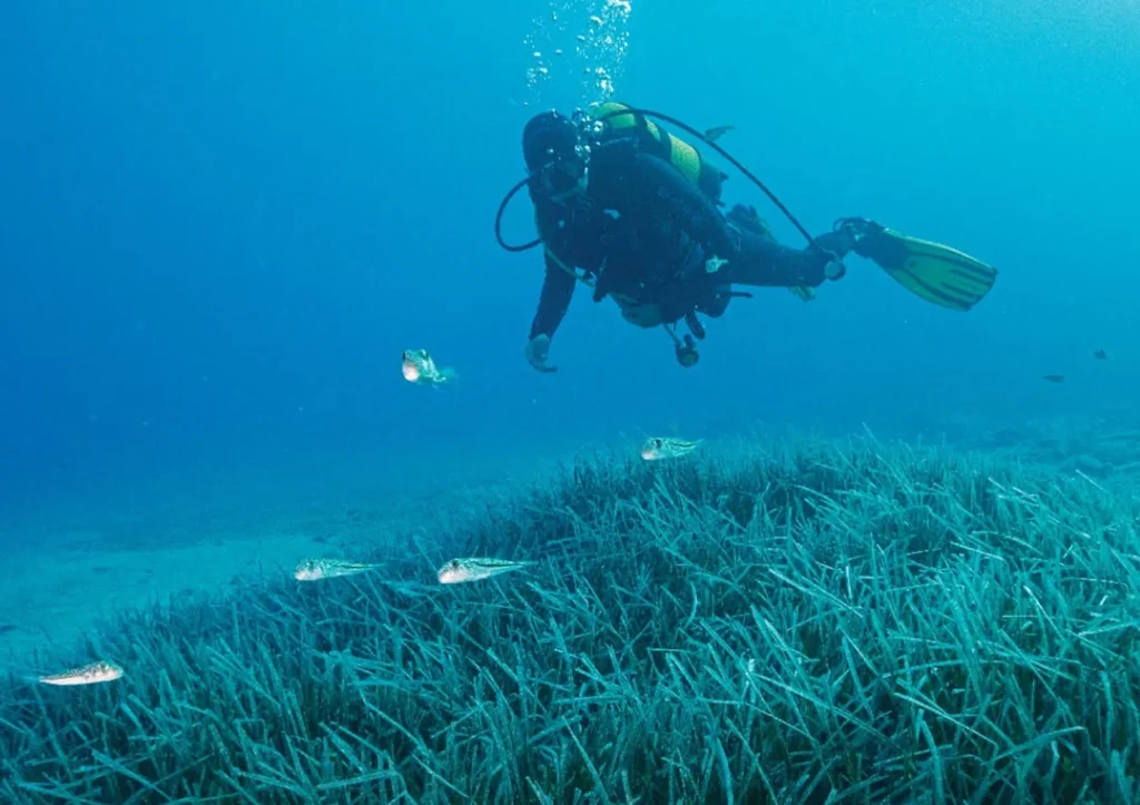 Turkey Designates First Marine National Parks in Fethiye-Kaş and North Aegean