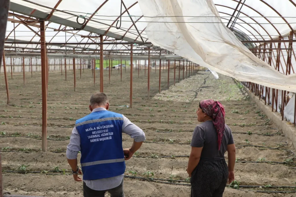 Recovery Support Begins One Day After Seydikemer Fire