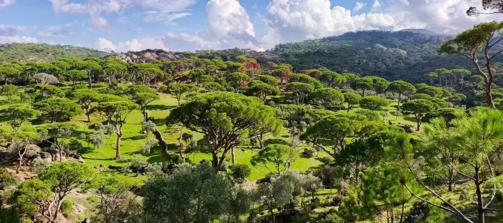 Call for National Park Status for Latmos Mountains