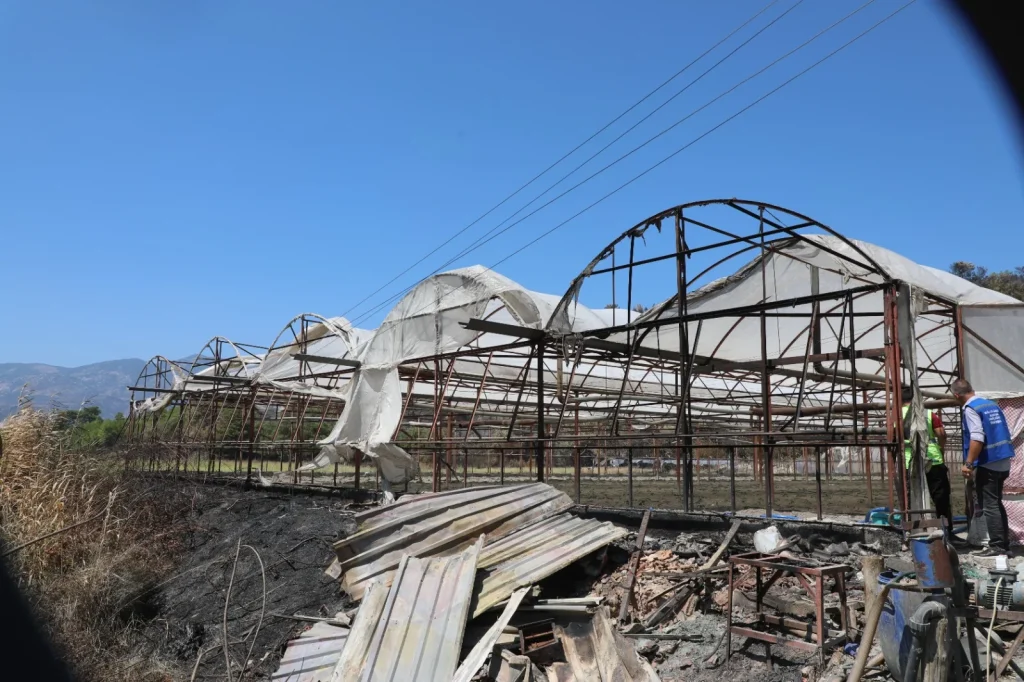 Recovery Support Begins One Day After Seydikemer Fire