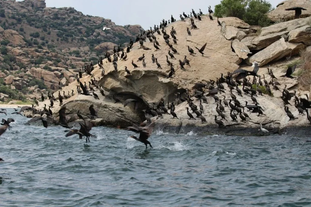 Call for National Park Status for Latmos Mountains