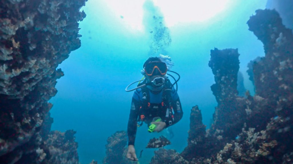 International scientists study Lake Van microbialites for clues about Mars