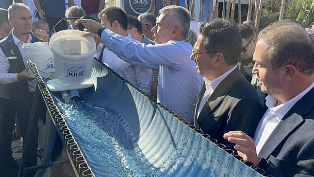 6,000 juvenile fish released at Bodrum Fish Festival